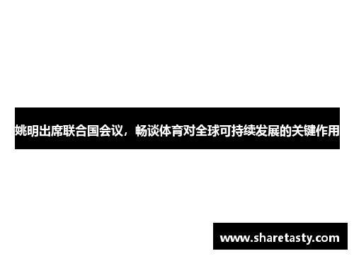 姚明出席联合国会议，畅谈体育对全球可持续发展的关键作用